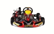 Presentato il kart MINI Briggs & Stratton 