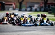 Perché scegliere BRIGGS Kart in 5 punti chiave