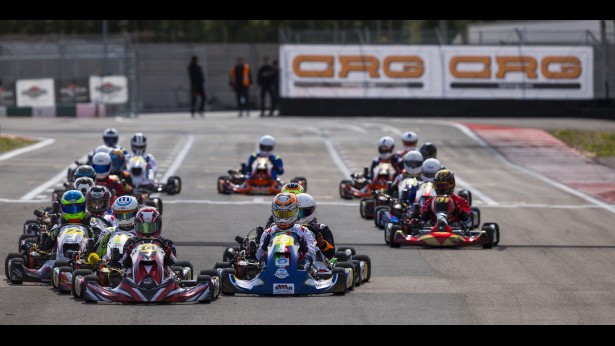 Ala - Round 1, Report